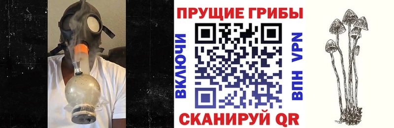 как найти наркотики  Игра  нарко площадка какой сайт  Псилоцибиновые грибы MAGIC MUSHROOMS 